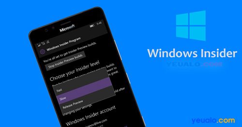 Người dùng nội bộ Windows (Windows Insider) là gì? Cách tham gia như thế nào?
