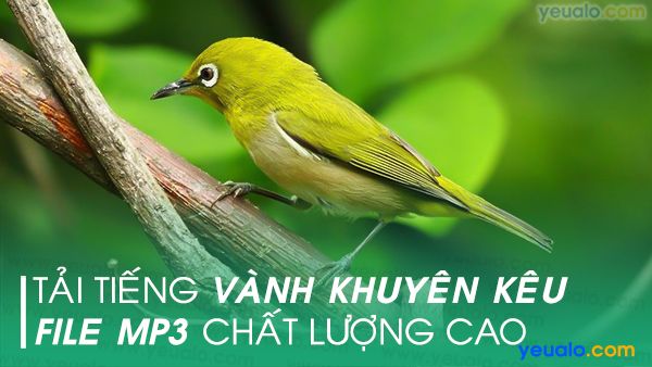 Họ Chim sâu – Wikipedia tiếng Việt