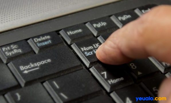 Bàn phìm laptop bị liệt phím số là do bị tắt mất chức năng bấm phím số